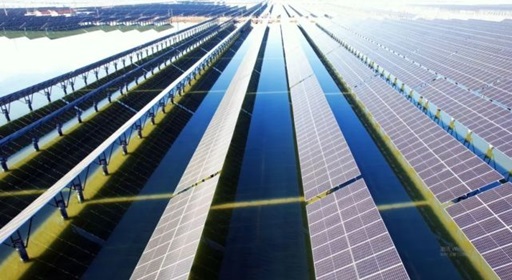 山東?；胶忭?xiàng)目